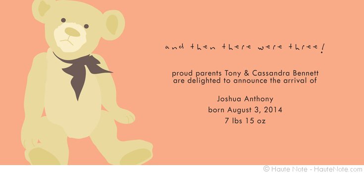 Haute Note Lookbook - New Addition - Teddy - It's a baby | HauteNote.com